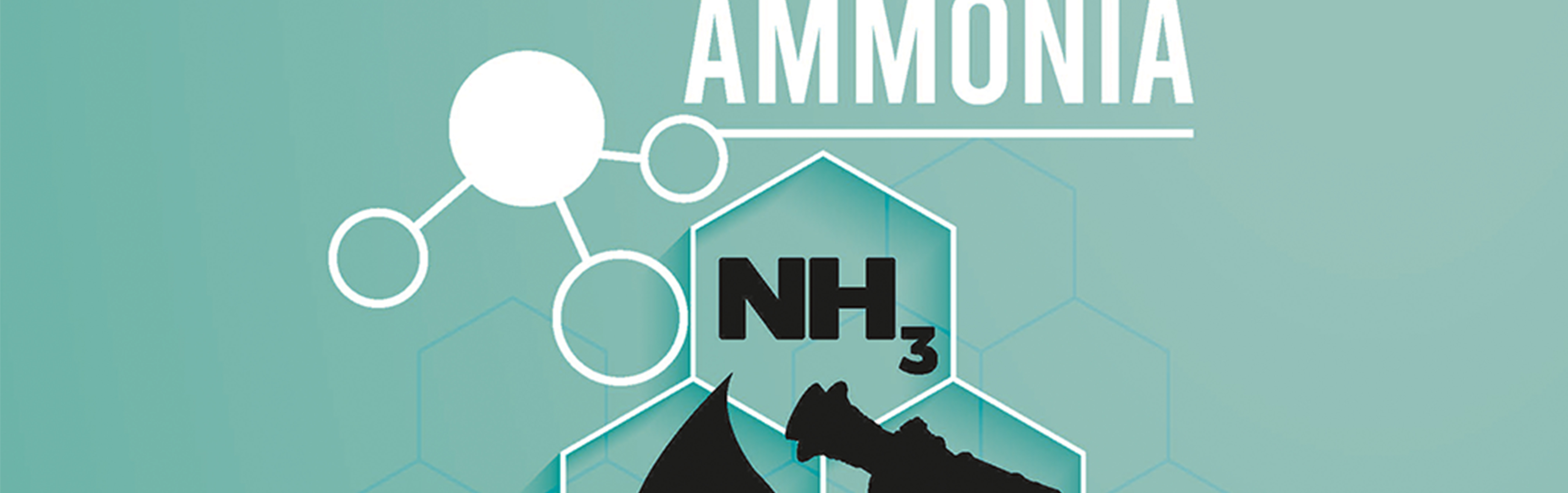 Ammonia for valuable clean energy systems