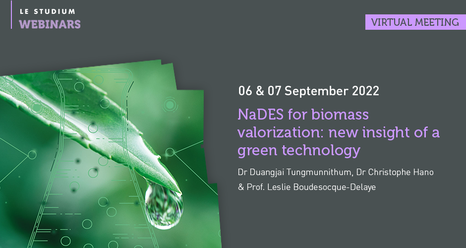 NaDES for biomass valorization: new insight of a green technology