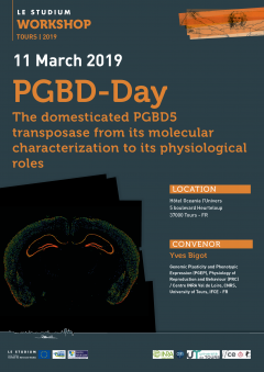 PGBD-Day, the domesticated PGBD5 transposase from its molecular characterization to its physiological roles