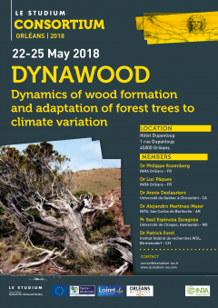 DYNAWOOD (Dynamics of wood formation and adaptation of forest trees to climate variation) DYNAWOOD (Dynamics of wood formation and adaptation of forest trees to climate variation)