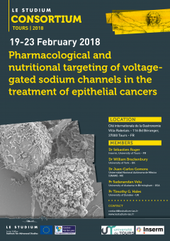 Pharmacological and nutritional targeting of voltage-gated sodium channels in the treatment of epithelial cancers Pharmacological and nutritional targeting of voltage-gated sodium channels in the treatment of epithelial cancers