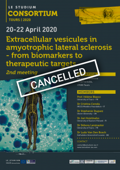 Extracellular vesicules in amyotrophic lateral sclerosis - from biomarkers to therapeutic targets
