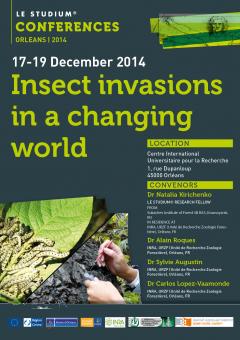 Insect invasions in a changing world