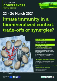 Innate immunity in a biomineralized context: trade-offs or synergies? 