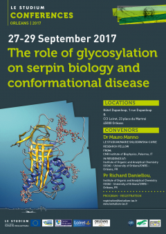 The role of glycosylation on serpin biology and conformational disease The role of glycosylation on serpin biology and conformational disease