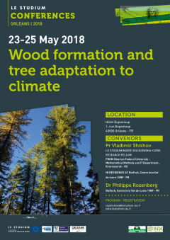 Wood formation and tree adaptation to climate Wood formation and tree adaptation to climate