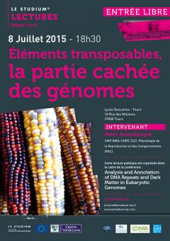 Éléments transposables, la partie cachée des génomes Éléments transposables, la partie cachée des génomes