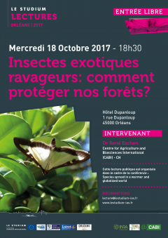 Insectes exotiques ravageurs: comment protéger nos forêts?
