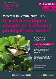 Insectes exotiques ravageurs: comment protéger nos forêts? Insectes exotiques ravageurs: comment protéger nos forêts?
