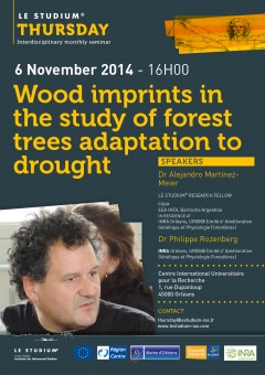 Wood imprints in the study of forest trees adaptation to drought: interdisciplinary approaches Wood imprints in the study of forest trees adaptation to drought: interdisciplinary approaches