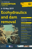 Ecohydraulics and dam removal