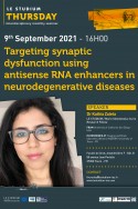 Targeting synaptic dysfunction using antisense RNA enhancers  in neurodegenerative diseases