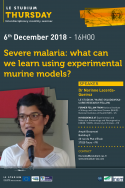 Severe malaria: what can we learn using experimental murine models?