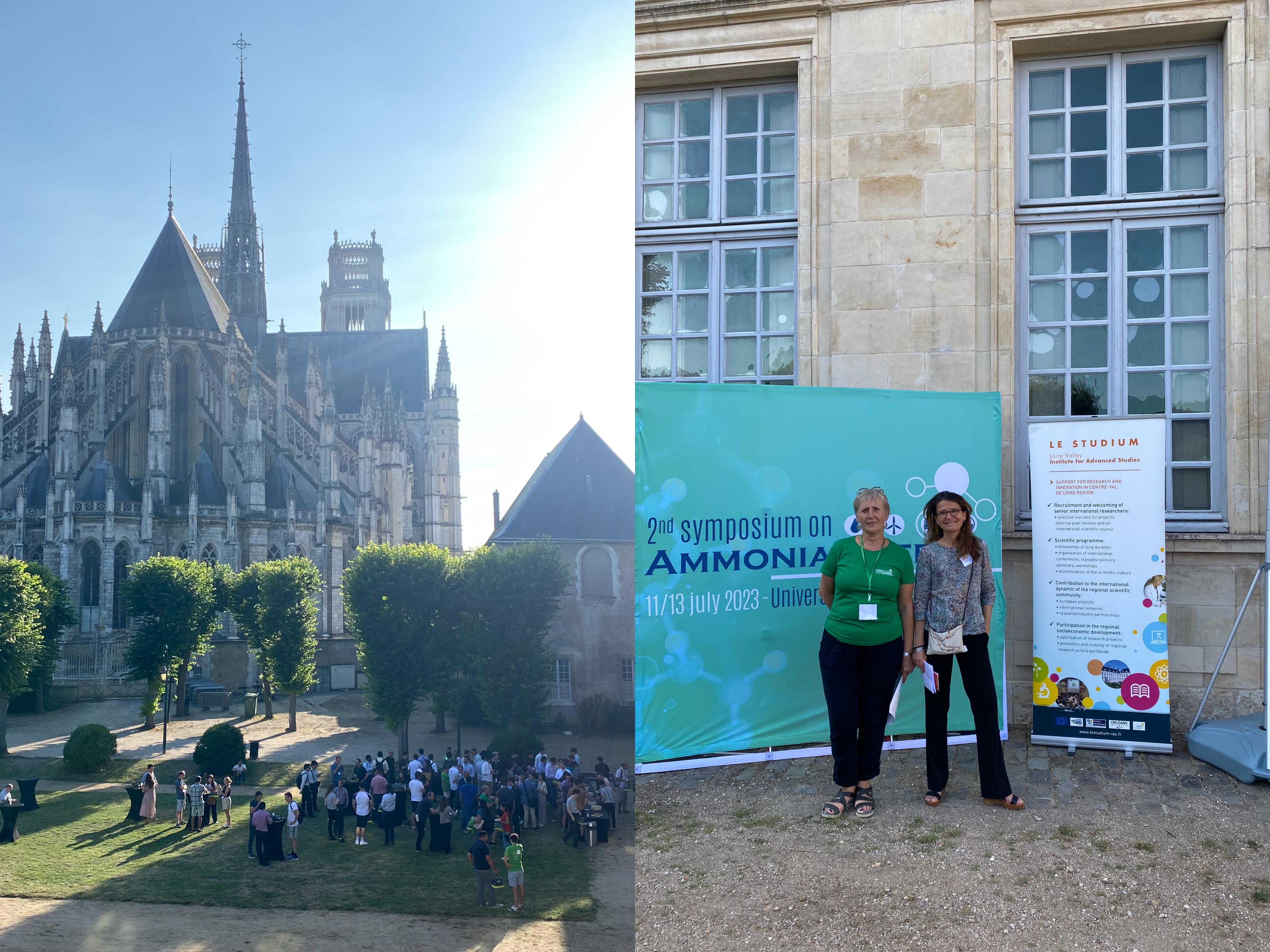 Ammonia Consortium