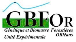 GBFOr_Logo