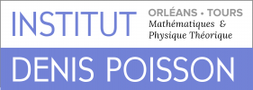 IDP_Logo
