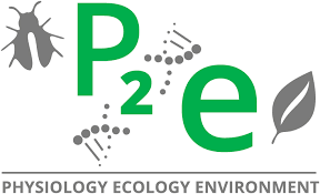 P2E_Logo