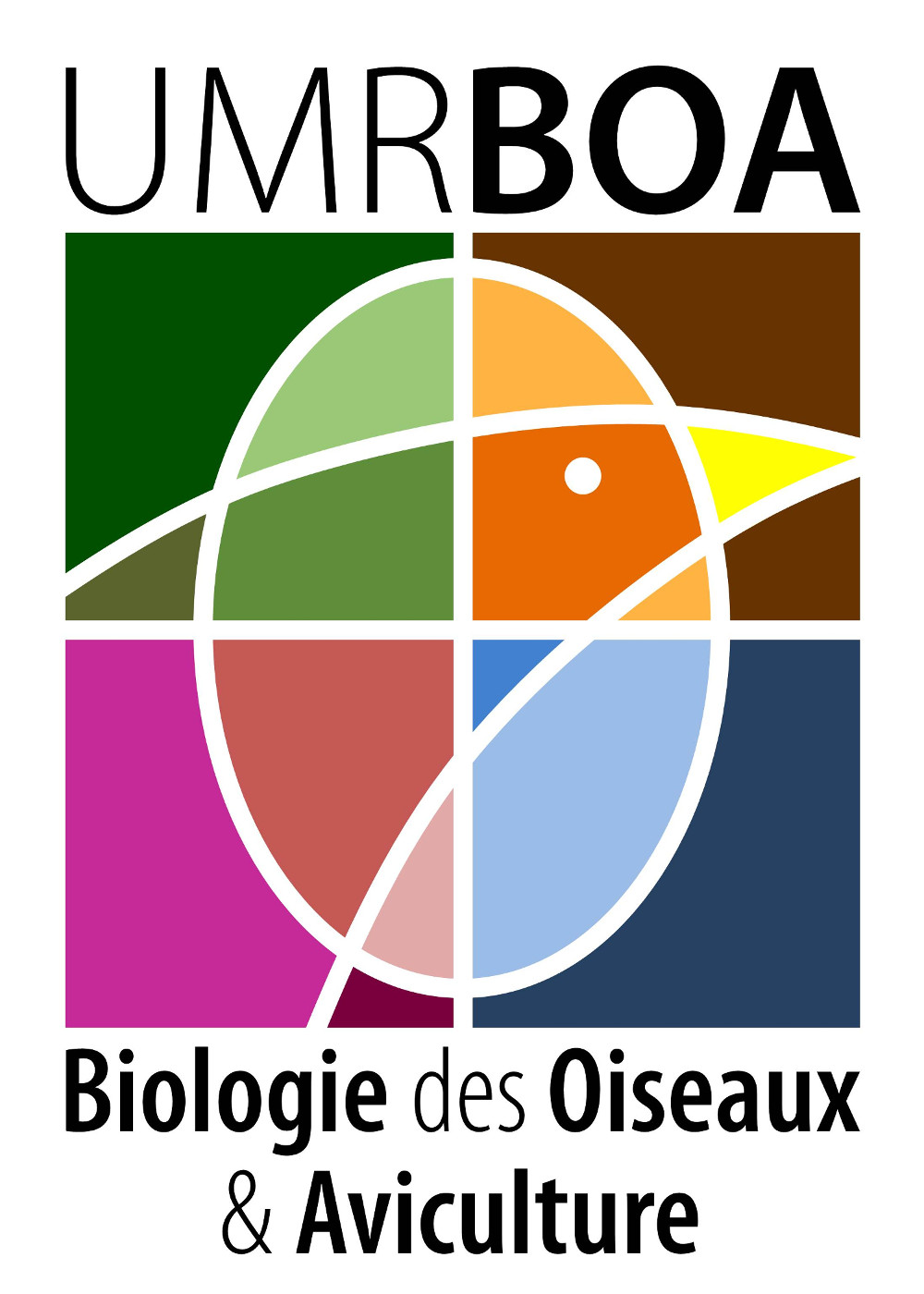 BOA_Logo