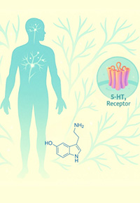 Expanding Horizons in Serotonin Research