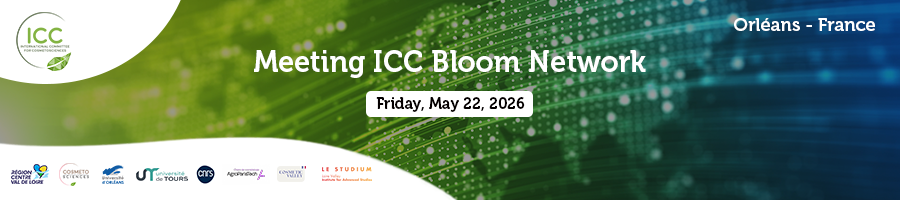 Meeting ICC Bloom Network