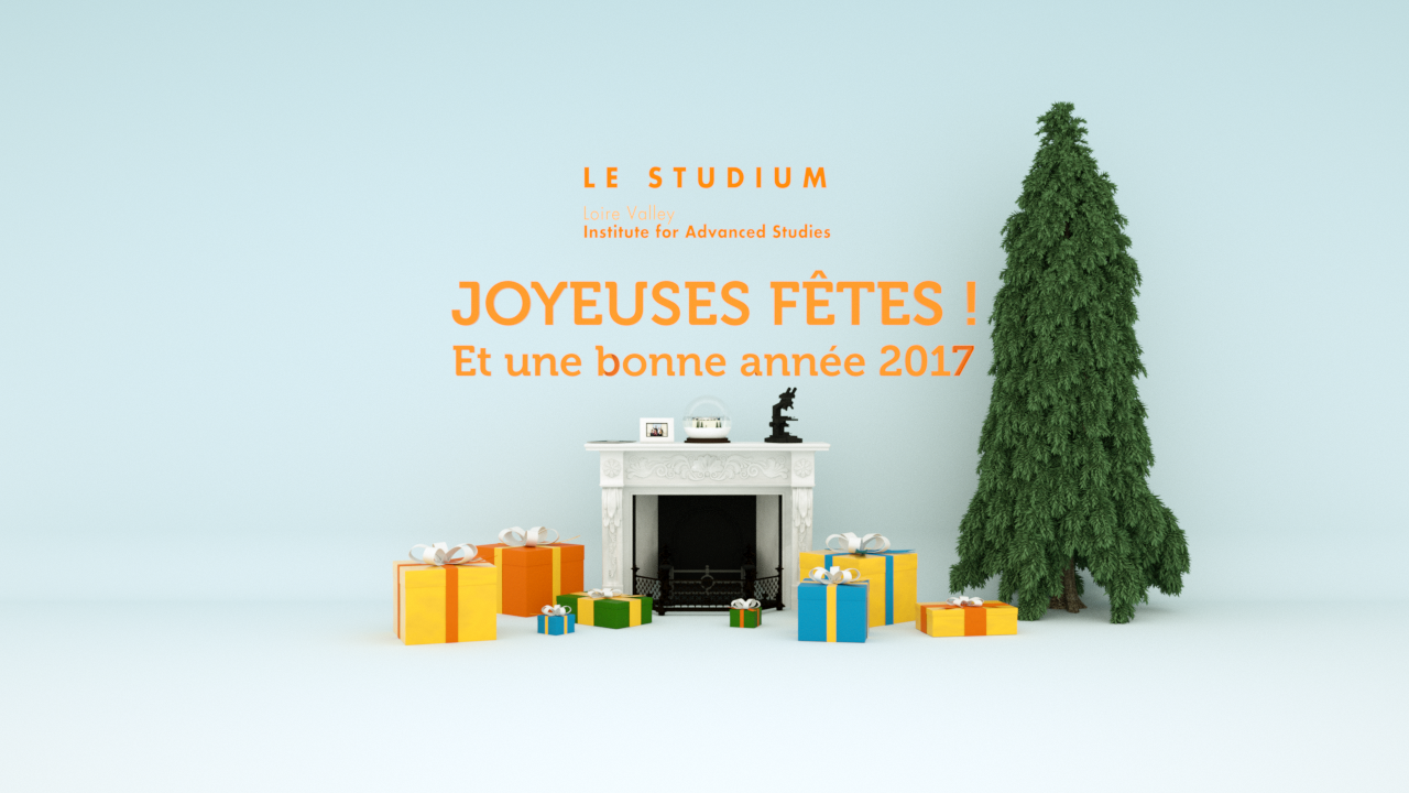 Joyeuses fêtes & Bonne année 2017 !