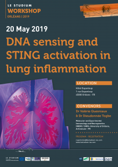 DNA sensing and STING activation in lung inflammation