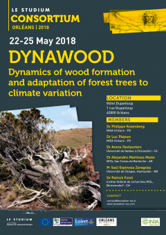 DYNAWOOD (Dynamics of wood formation and adaptation of forest trees to climate variation)