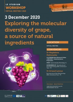 Exploring the molecular diversity of grape, a source of natural ingredients