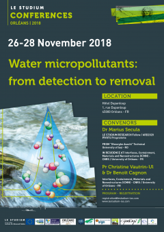 Water micropollutants: from detection to removal