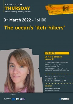 The ocean's "itch-hikers"