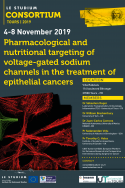 Pharmacological and nutritional targeting of voltage-gated sodium channels in the treatment of epithelial cancers