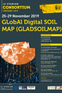 GLobAl Digital SOIL MAP (GLADSOILMAP)