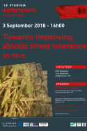 Towards improving abiotic stress tolerance in rice