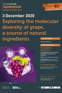 Exploring the molecular diversity of grape, a source of natural ingredients