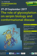 The role of glycosylation on serpin biology and conformational disease