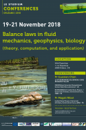 Balance laws in fluid mechanics, geophysics, biology (theory, computation, and application)