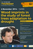 Wood imprints in the study of forest trees adaptation to drought: interdisciplinary approaches