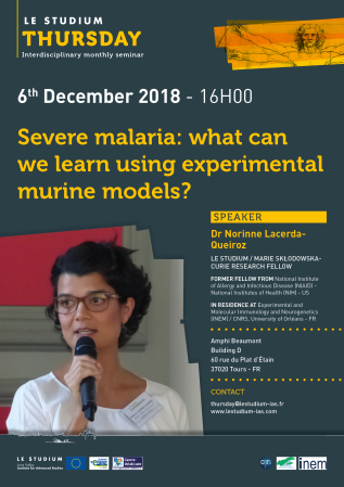 Severe malaria: what can we learn using experimental murine models?