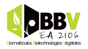 BBV