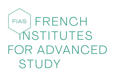 FIAS-Programme