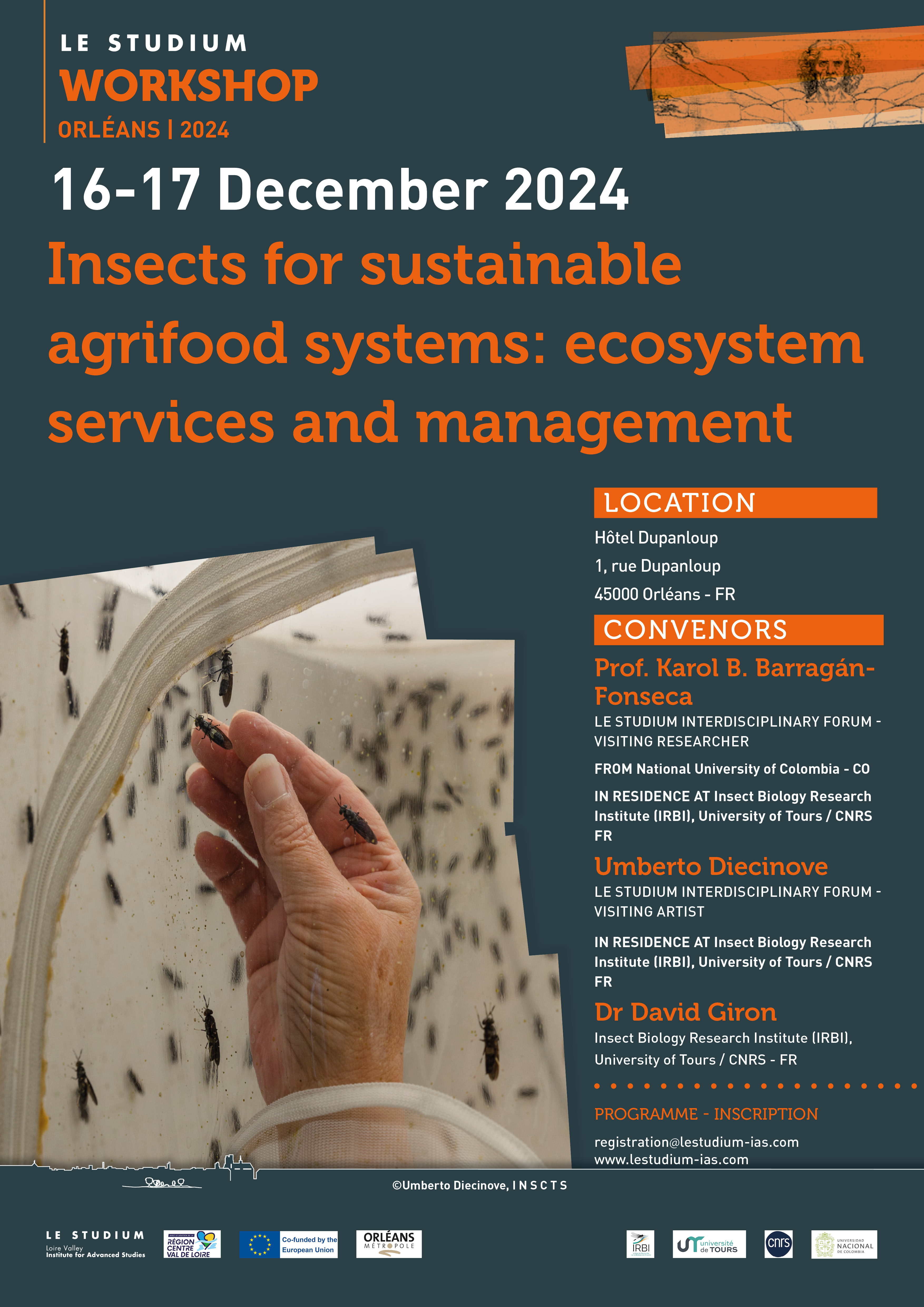 Insects for sustainable agrifood systems ecosystem services and